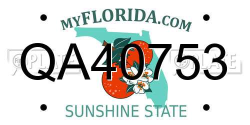 QA40753 Florida License Plate