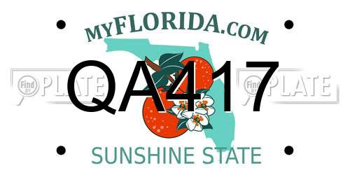 QA417 Florida License Plate