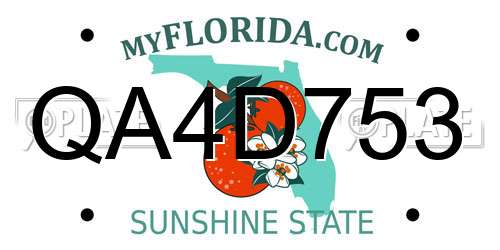 QA4D753 Florida License Plate