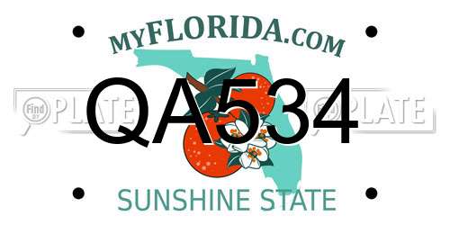QA534 Florida License Plate