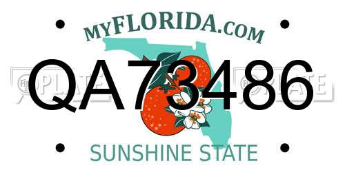 QA73486 Florida License Plate