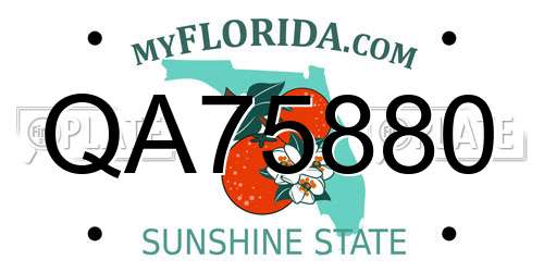 QA75880 Florida License Plate
