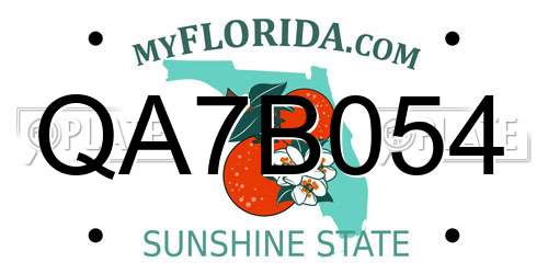 QA7B054 Florida License Plate