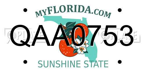 QAA0753 Florida License Plate
