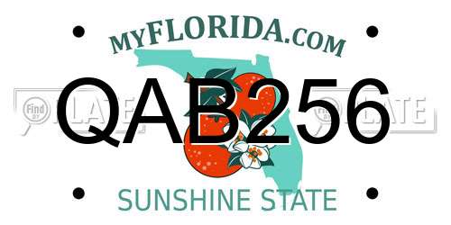 QAB256 Florida License Plate