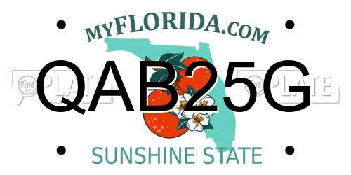 QAB25G Florida License Plate