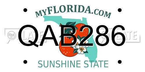 QAB286 Florida License Plate