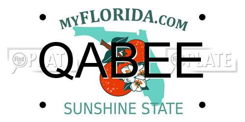 QABEE Florida License Plate