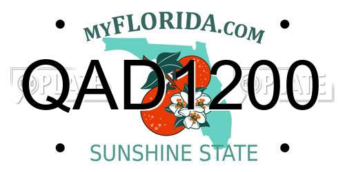 QAD1200 Florida License Plate