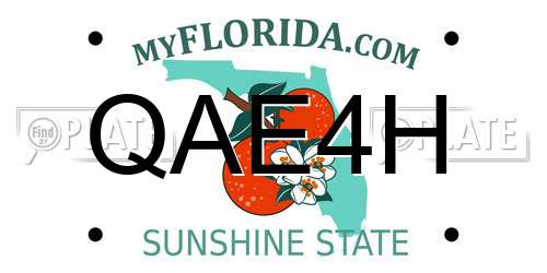 QAE4H Florida License Plate