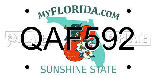 QAF592 Florida License Plate