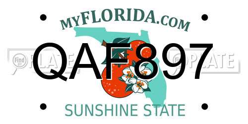QAF897 Florida License Plate