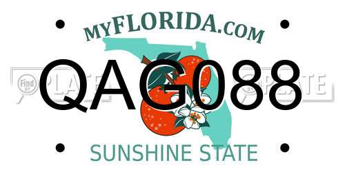 QAG088 Florida License Plate