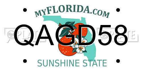 QAGD58 Florida License Plate