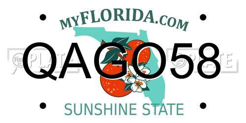 QAGO58 Florida License Plate