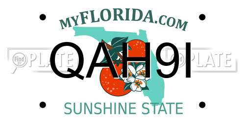 QAH9I Florida License Plate