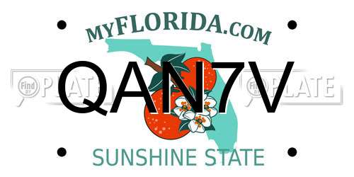 QAN7V Florida License Plate