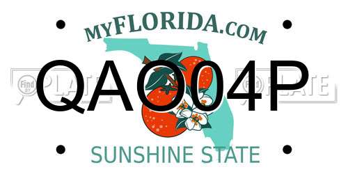 QAO04P Florida License Plate