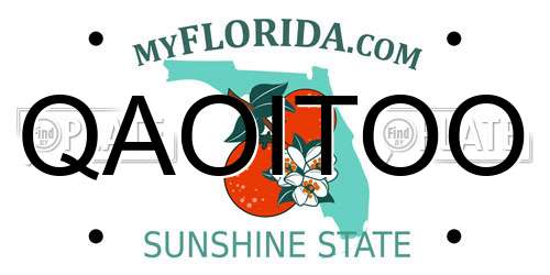QAOITOO Florida License Plate