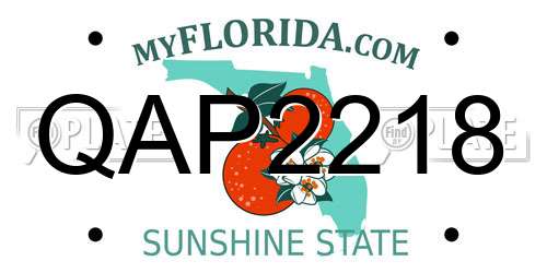 QAP2218 Florida License Plate