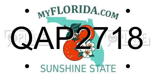 QAP2718 Florida License Plate