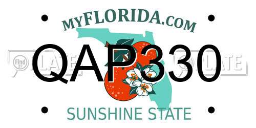 QAP330 Florida License Plate