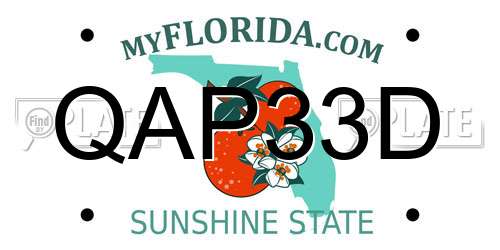 QAP33D Florida License Plate