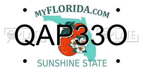 QAP33O Florida License Plate