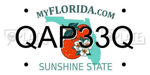 QAP33Q Florida License Plate