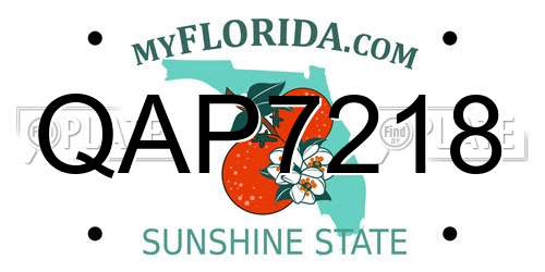 QAP7218 Florida License Plate