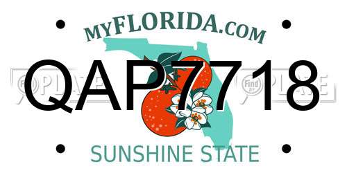 QAP7718 Florida License Plate