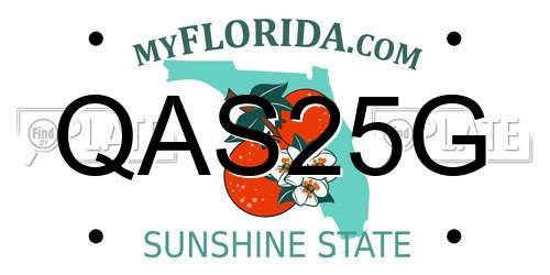 QAS25G Florida License Plate