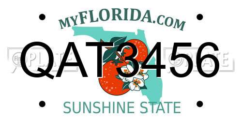 QAT3456 Florida License Plate