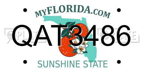 QAT3486 Florida License Plate
