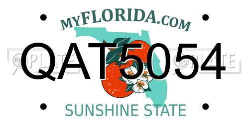 QAT5054 Florida License Plate