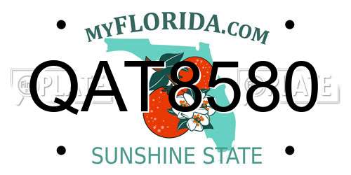 QAT8580 Florida License Plate