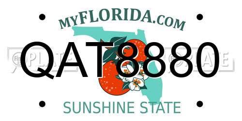 QAT8880 Florida License Plate