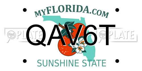 QAV6T Florida License Plate