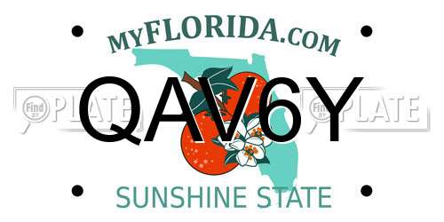 QAV6Y Florida License Plate