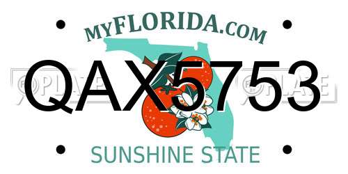 QAX5753 Florida License Plate