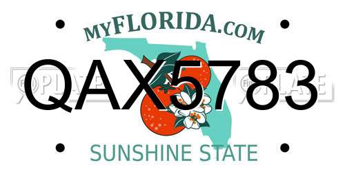 QAX5783 Florida License Plate