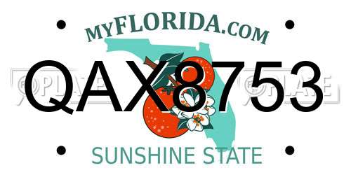 QAX8753 Florida License Plate