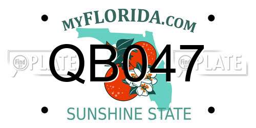 QB047 Florida License Plate
