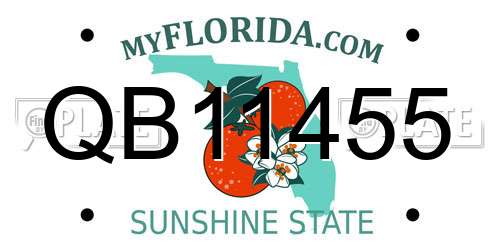 QB11455 Florida License Plate