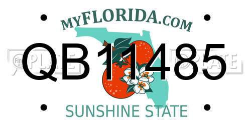 QB11485 Florida License Plate
