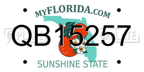 QB15257 Florida License Plate