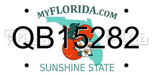 QB15282 Florida License Plate