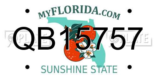 QB15757 Florida License Plate