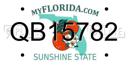 QB15782 Florida License Plate
