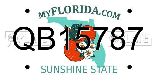 QB15787 Florida License Plate